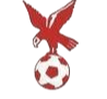 https://img.hbkmd.com/img/football/team/4802d26df935b78bb2fcdbbff36e8864.png